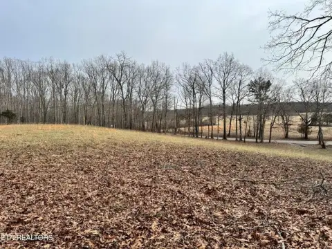Rockwood, TN - 5 Acre Land