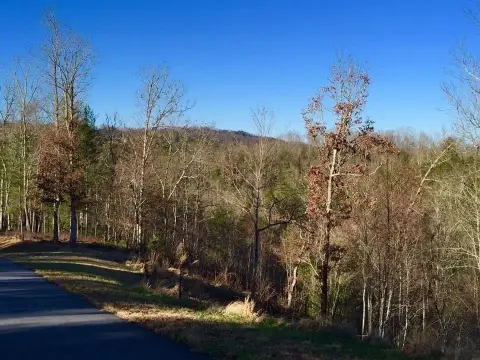 Deed-Restricted Riverfront Building Lots