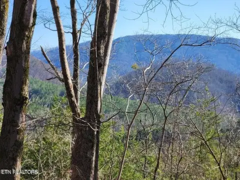 Englewood, TN Usable Farmland