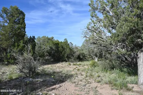 Seligman, AZ 1.9-Acre Land