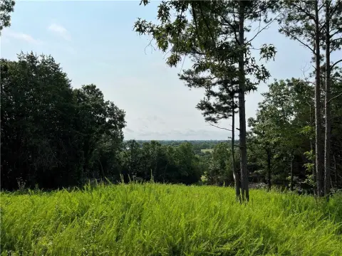Wooded Hunting Land with Creek
