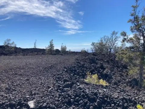 Three Acre Ocean View Parcel