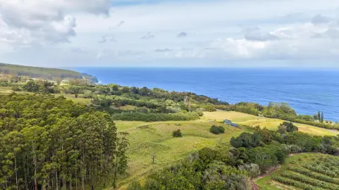 Hamakua Coast Land Opportunity
