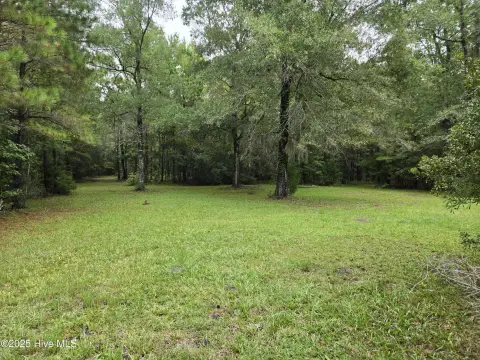 Agricultural Hunting Land Parcel