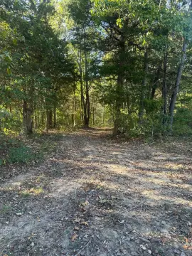 Hunting Land with Creek