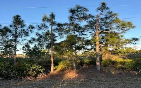Lehigh Acres Residential Corner Lot