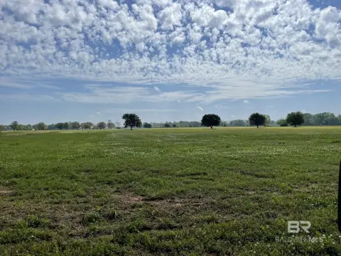 Expansive Land Parcel in Robertsdale