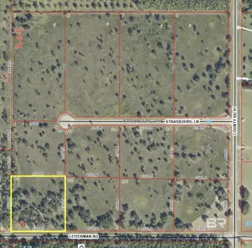 Residential Lot in Elberta, AL