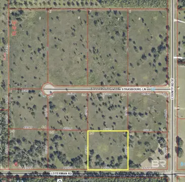 Residential Lot in Elberta, AL