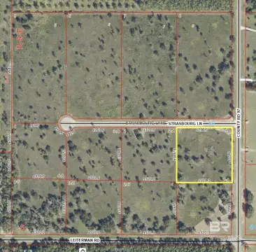 Residential Lot in Elberta, AL