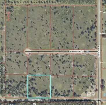 Residential Lot in Elberta, AL
