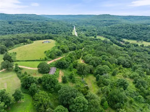 Timber and Pond Hunting Tract