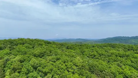 Deed-Restricted Mountain View Land