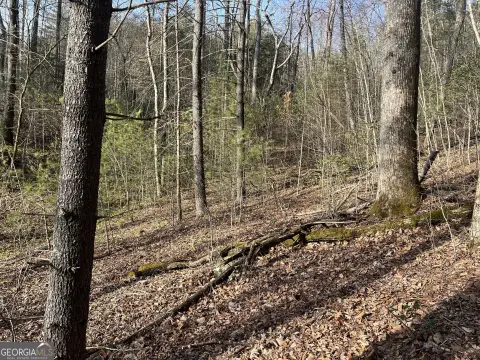 Dillard, GA Land For Sale