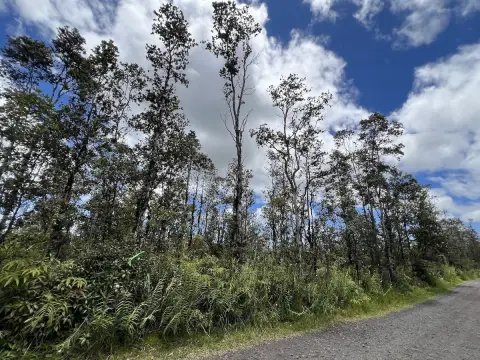 Wooded Off-Grid Solar Land Parcel