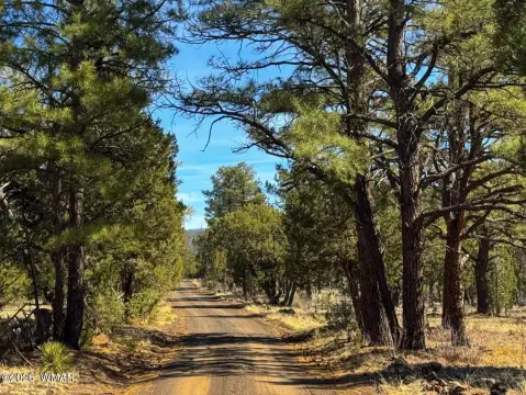 5 Acre Parcel in Vernon