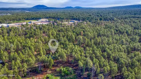 Lakeside, AZ Land Parcel