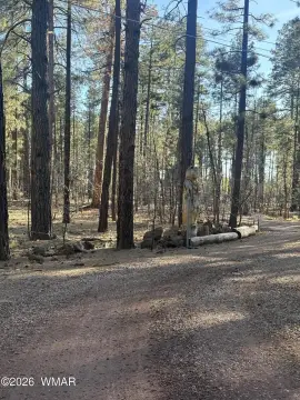 Lakeside Land with Mature Trees