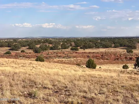 Land with Serene Views