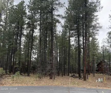 Pinetop Treed Lot For Sale