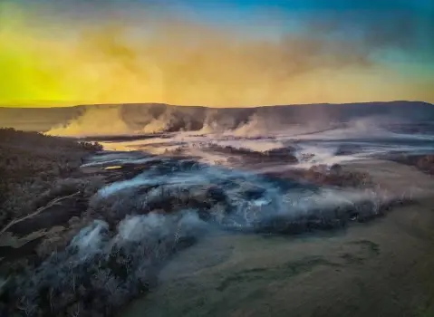 50 Acres Hunting Land in Clayton