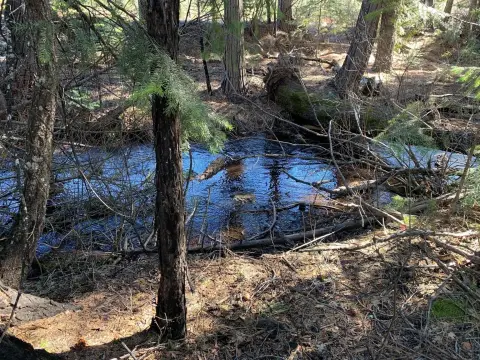 Shingletown Land with Creek Frontage