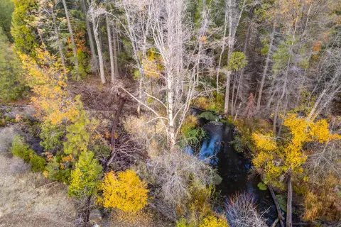 Creekside Land Near Lassen Park