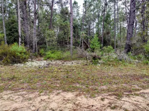 Land in North Florida
