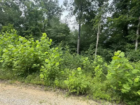 Wooded Recreational Land Lot