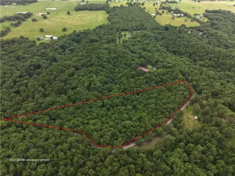 Heavily Wooded Recreational Land Tract