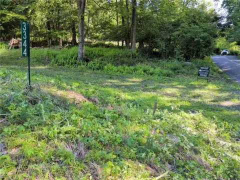 Wooded Homesite Lot in Conservation District
