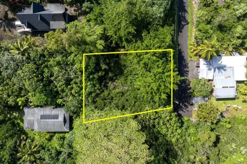 Tropical Homesite with Native Vegetation