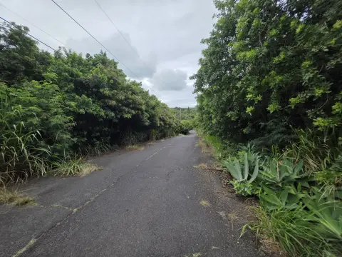 Vacant Land Parcel