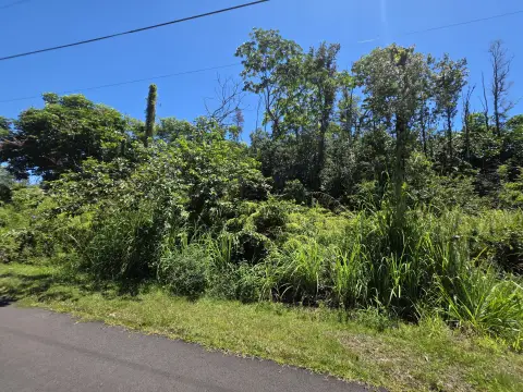 Vacant Residential Land Lot