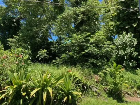 Forested Residential Lot in Subdivision
