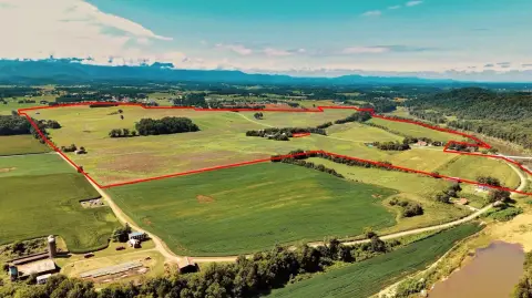 530 Acres of Farmland in Chuckey