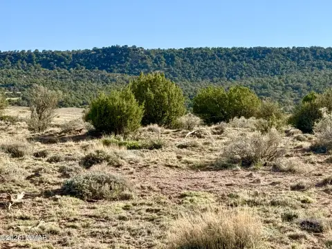 Land with Installed Septic System