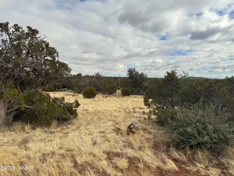 Vernon, AZ 1.5-Acre Lot