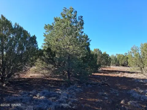 Residential Land in Show Low