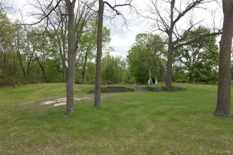Waterfront Land on Rice Lake