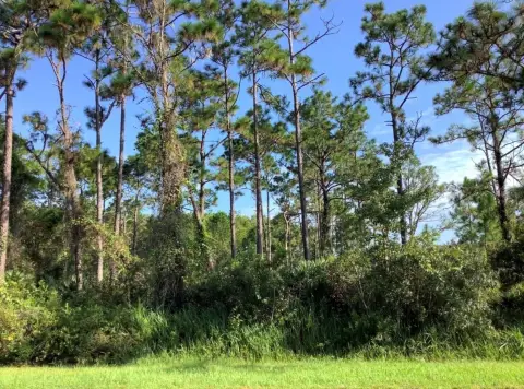 Orlando Vacant Land Opportunity