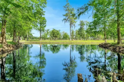 22 Acres in Lake County