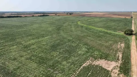 Class II Farmland Tract