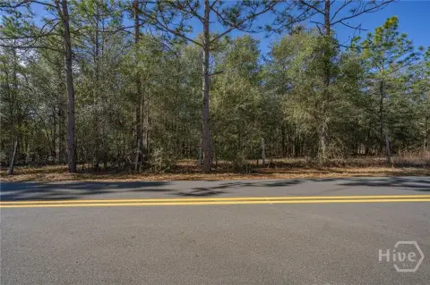 Eden, GA Wooded Land Parcel