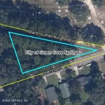 Residential Land in Green Cove
