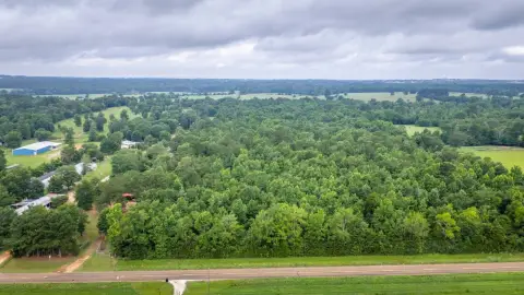 Wooded Recreational Land with FM Frontage