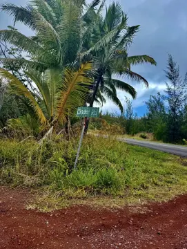 Secluded Wooded Land in Pahoa