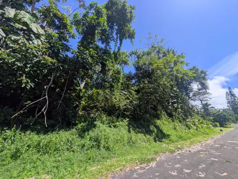 Wooded Residential Lot in Hawaiian Shores