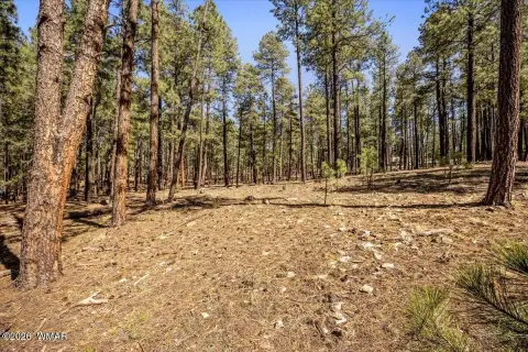 Alpine, AZ 4.82-Acre Land Parcel