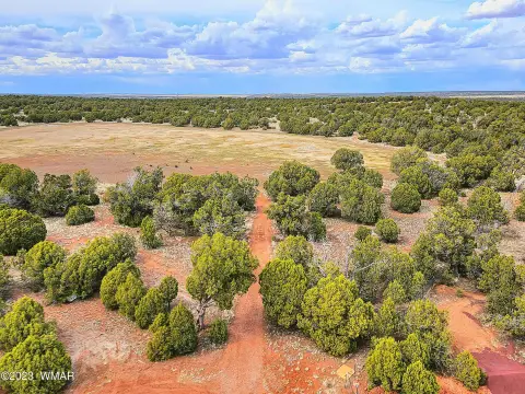 Acreage Lot Near National Forest